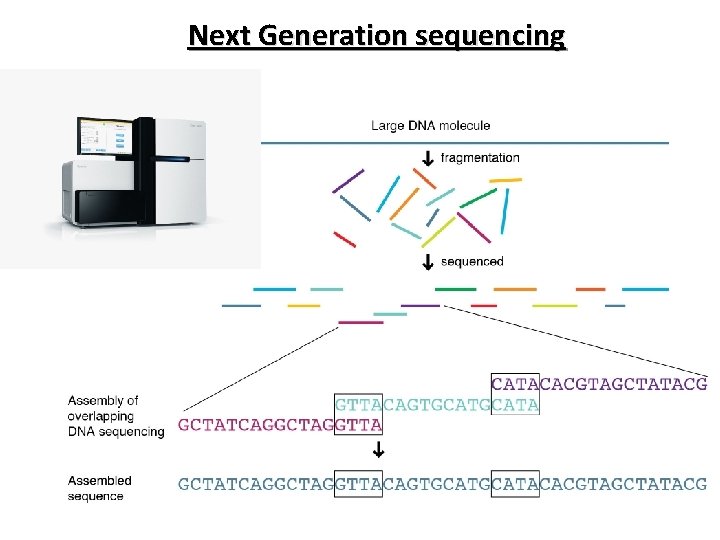 Next Generation sequencing 