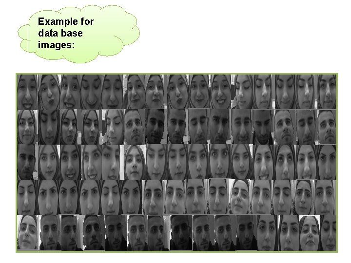 Example for data base images: 