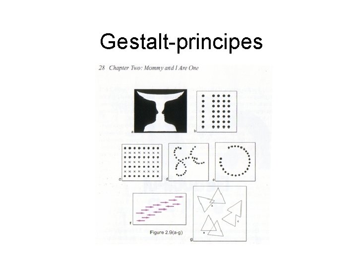 Gestalt-principes 