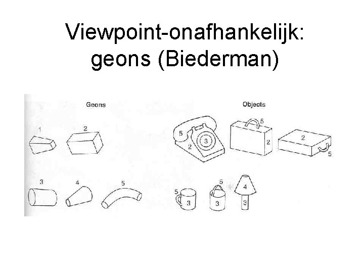 Viewpoint-onafhankelijk: geons (Biederman) 