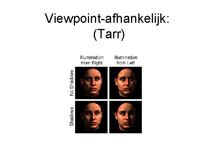 Viewpoint-afhankelijk: (Tarr) 