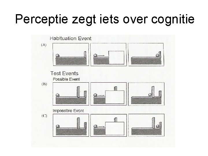 Perceptie zegt iets over cognitie 