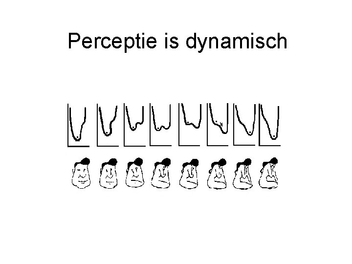 Perceptie is dynamisch 