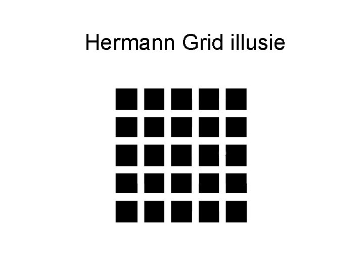 Hermann Grid illusie 