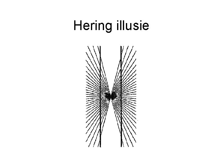 Hering illusie 