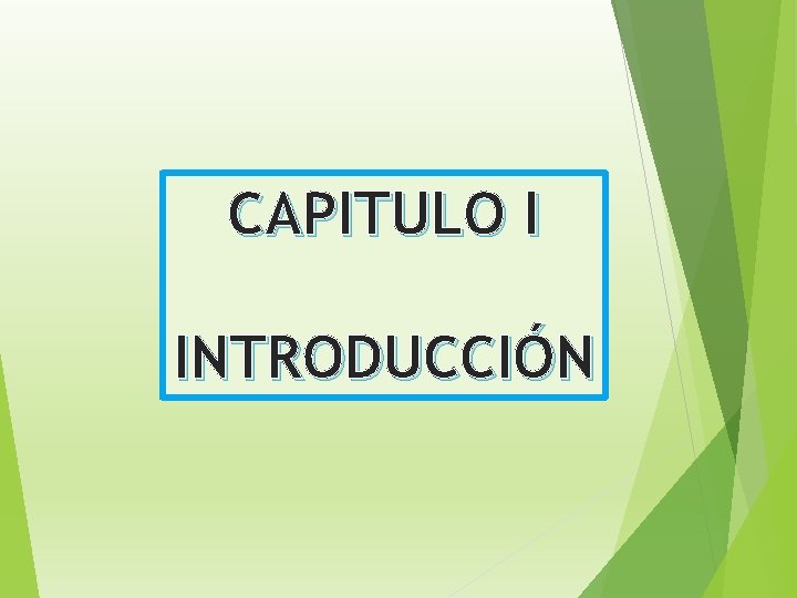 CAPITULO I INTRODUCCIÓN 