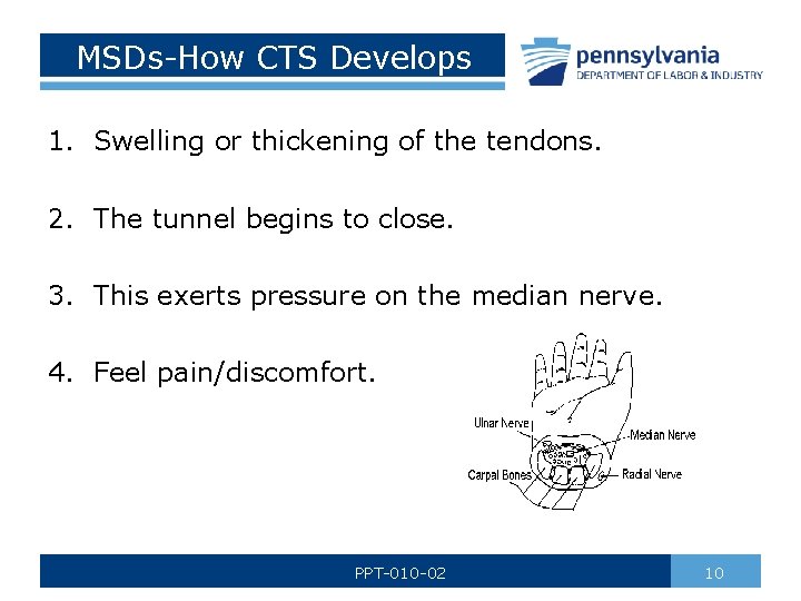 MSDs-How CTS Develops 1. Swelling or thickening of the tendons. 2. The tunnel begins