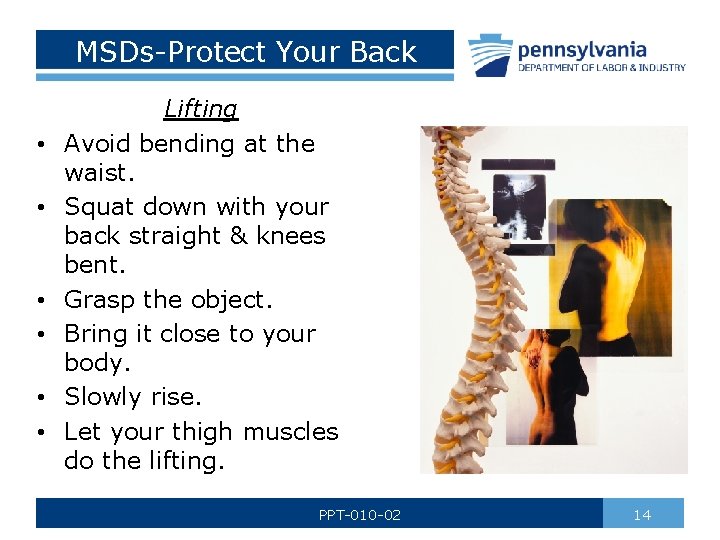 MSDs-Protect Your Back • • • Lifting Avoid bending at the waist. Squat down