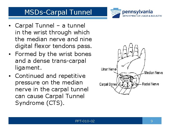 MSDs-Carpal Tunnel • Carpal Tunnel – a tunnel in the wrist through which the