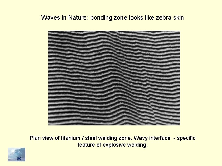 Waves in Nature: bonding zone looks like zebra skin Plan view of titanium /