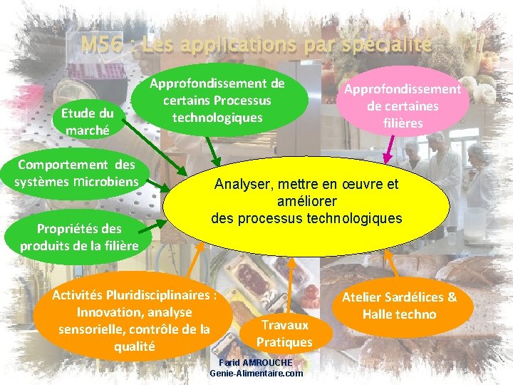 M 56 : Les applications par spécialité Etude du marché Comportement des systèmes microbiens