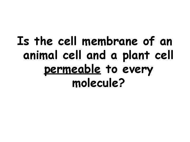 Is the cell membrane of an animal cell and a plant cell permeable to