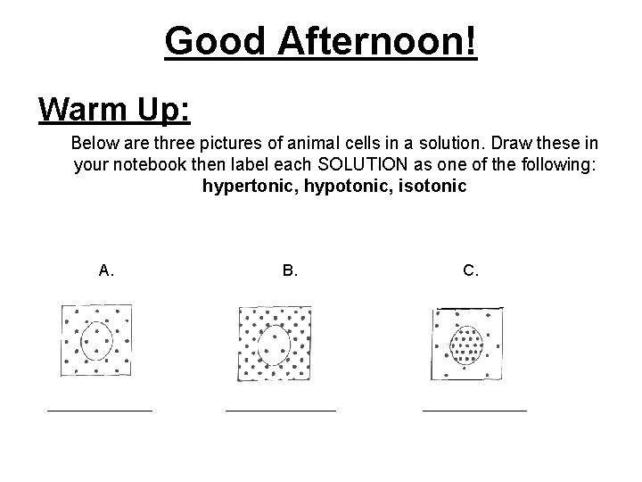 Good Afternoon! Warm Up: Below are three pictures of animal cells in a solution.