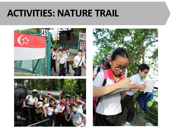 ACTIVITIES: NATURE TRAIL 
