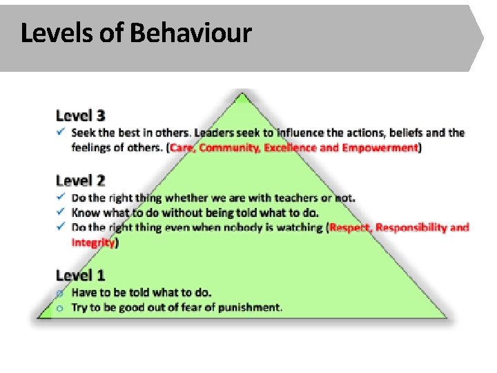 Levels of Behaviour 
