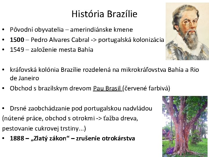 História Brazílie • Pôvodní obyvatelia – amerindiánske kmene • 1500 – Pedro Alvares Cabral