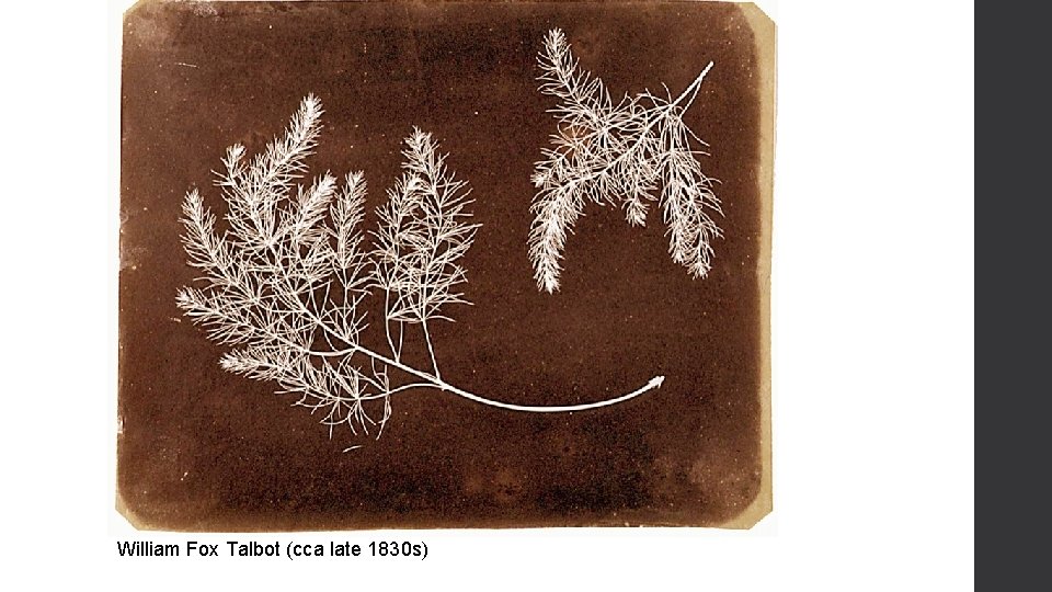 William Fox Talbot (cca late 1830 s) 