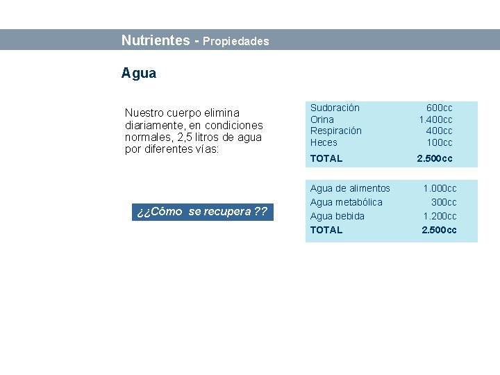 Bases sobre Alimentación y Nutrición Nutrientes - Propiedades Agua Nuestro cuerpo elimina diariamente, en