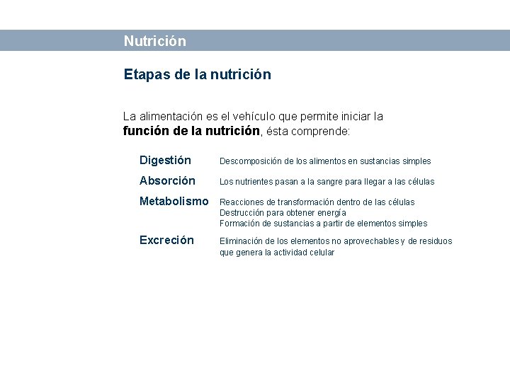 Bases sobre Alimentación y Nutrición Etapas de la nutrición La alimentación es el vehículo
