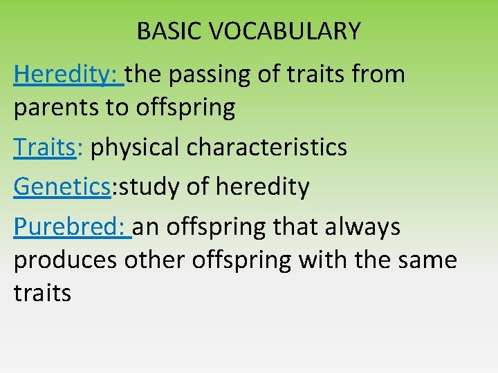 BASIC VOCABULARY Heredity: the passing of traits from parents to offspring Traits: physical characteristics BASIC VOCABULARY Heredity: the passing of traits from parents to offspring Traits: physical characteristics