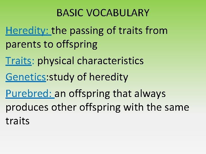 BASIC VOCABULARY Heredity: the passing of traits from parents to offspring Traits: physical characteristics