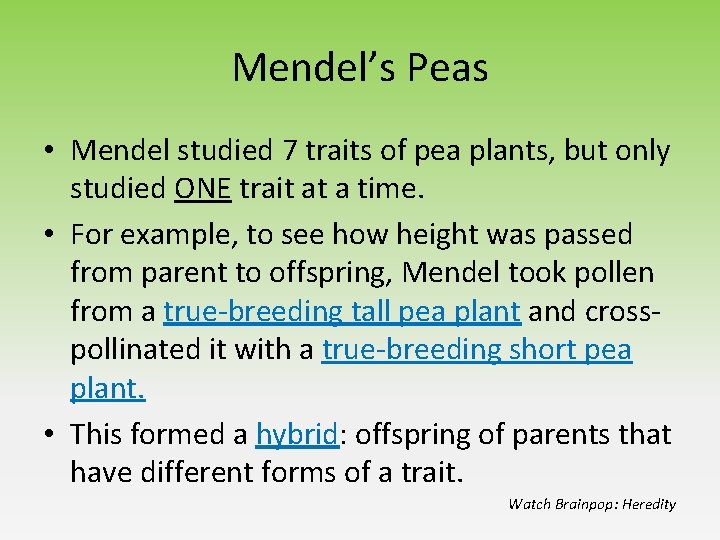 Mendel’s Peas • Mendel studied 7 traits of pea plants, but only studied ONE