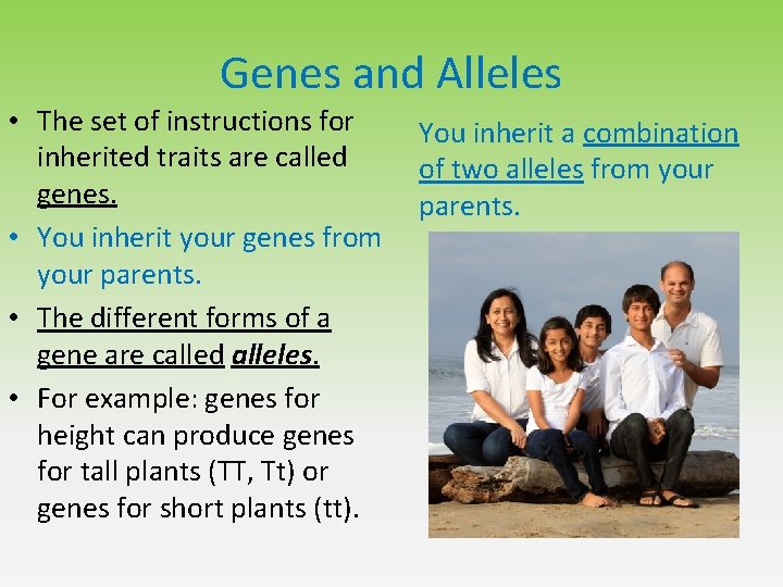 Genes and Alleles • The set of instructions for You inherit a combination inherited