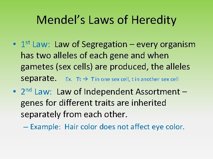 Mendel’s Laws of Heredity • 1 st Law: Law of Segregation – every organism