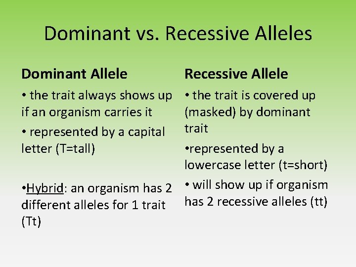 Dominant vs. Recessive Alleles Dominant Allele • the trait always shows up if an