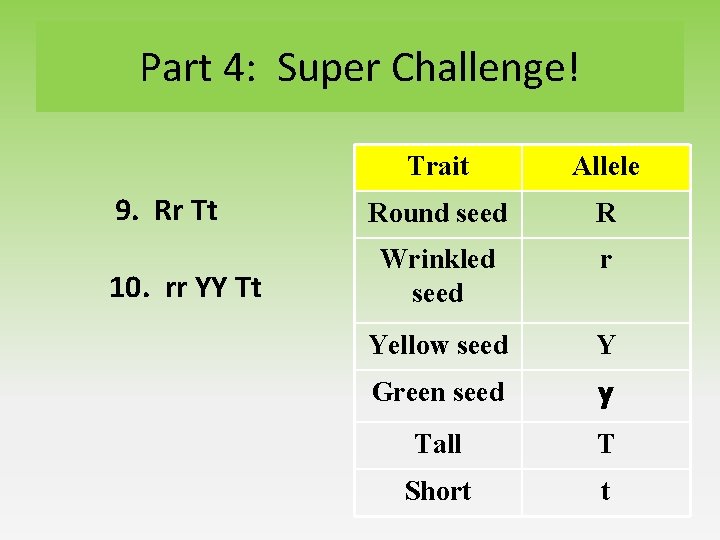 Part 4: Super Challenge! 9. Rr Tt 10. rr YY Tt Trait Allele Round