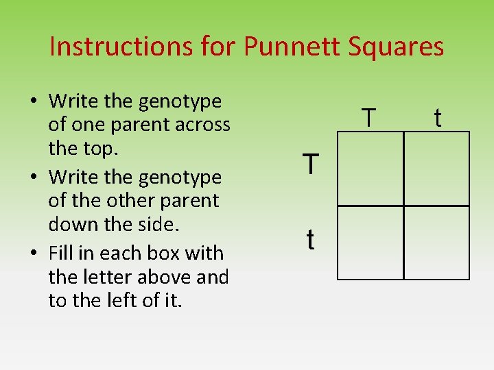 Instructions for Punnett Squares • Write the genotype of one parent across the top. Instructions for Punnett Squares • Write the genotype of one parent across the top.
