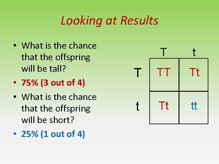 Looking at Results • What is the chance that the offspring will be tall? Looking at Results • What is the chance that the offspring will be tall?