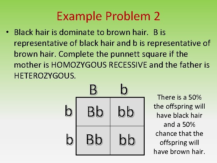 Example Problem 2 • Black hair is dominate to brown hair. B is representative