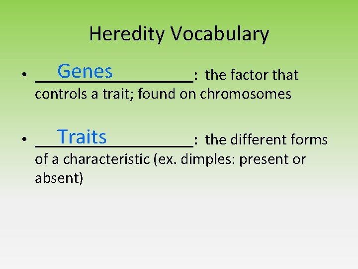 Heredity Vocabulary Genes • __________: the factor that controls a trait; found on chromosomes
