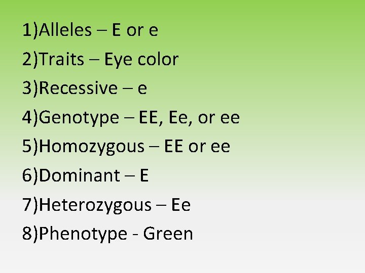 1)Alleles – E or e 2)Traits – Eye color 3)Recessive – e 4)Genotype – 1)Alleles – E or e 2)Traits – Eye color 3)Recessive – e 4)Genotype –