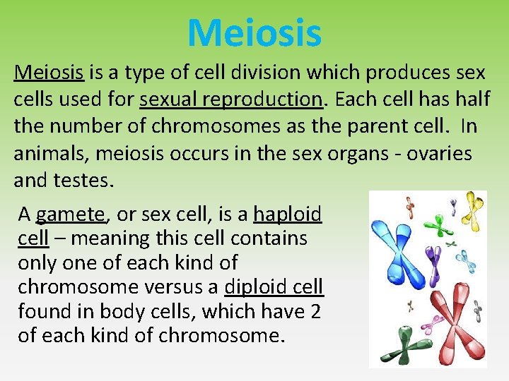 Meiosis is a type of cell division which produces sex cells used for sexual