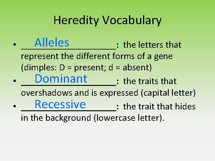 Heredity Vocabulary Alleles • __________: the letters that represent the different forms of a