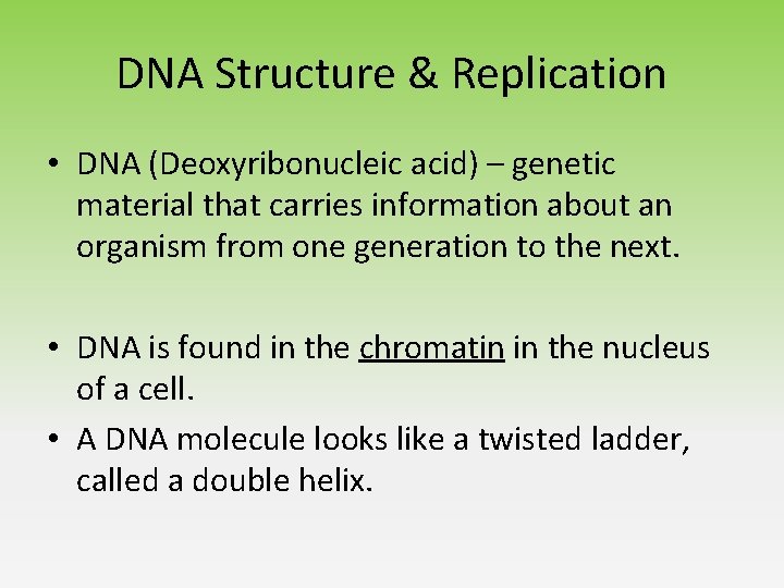 DNA Structure & Replication • DNA (Deoxyribonucleic acid) – genetic material that carries information