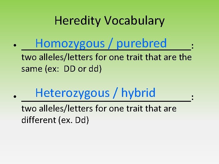 Heredity Vocabulary Homozygous / purebred • __________________: two alleles/letters for one trait that are Heredity Vocabulary Homozygous / purebred • __________________: two alleles/letters for one trait that are