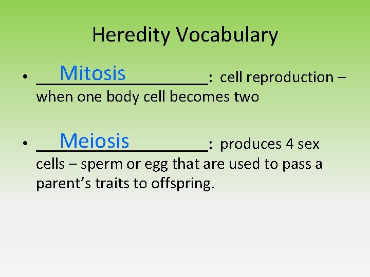 Heredity Vocabulary Mitosis • ___________: cell reproduction – when one body cell becomes two Heredity Vocabulary Mitosis • ___________: cell reproduction – when one body cell becomes two