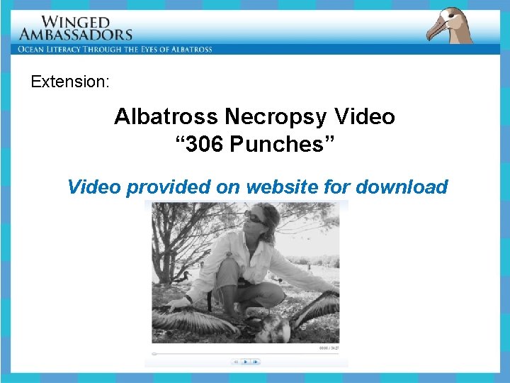 Extension: Albatross Necropsy Video “ 306 Punches” Video provided on website for download 