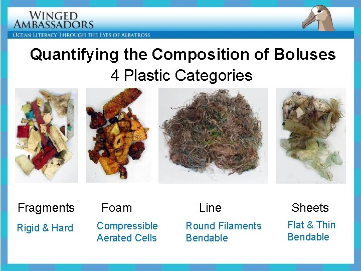 Quantifying the Composition of Boluses 4 Plastic Categories Fragments Foam Line Sheets Rigid &