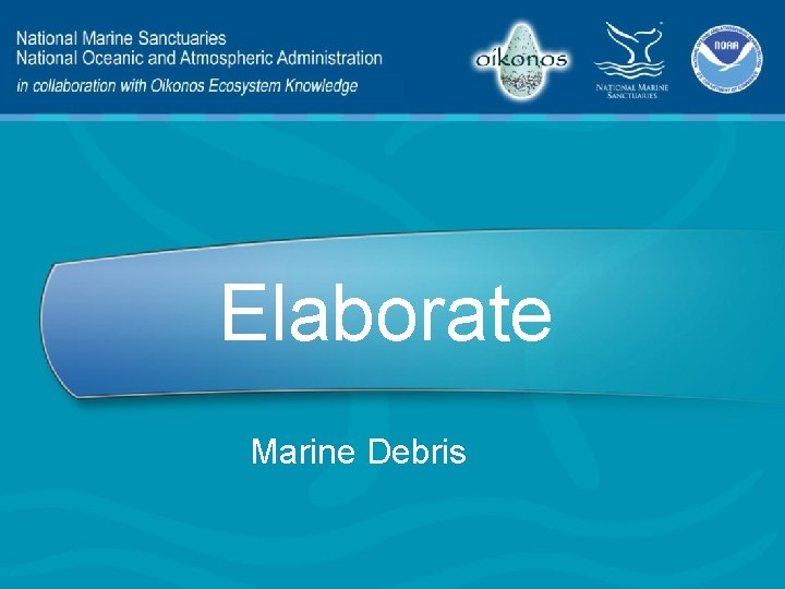 Elaborate Marine Debris 