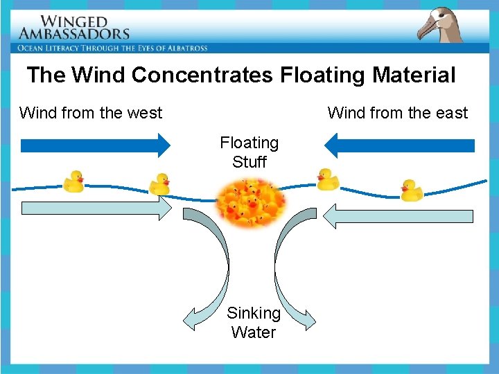 The Wind Concentrates Floating Material Wind from the west Wind from the east Floating