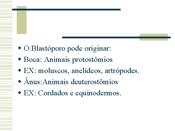 w O Blastóporo pode originar: w Boca: Animais protostômios w EX: moluscos, anelídeos, artrópodes.