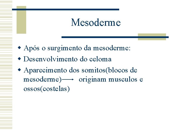 Mesoderme w Após o surgimento da mesoderme: w Desenvolvimento do celoma w Aparecimento dos