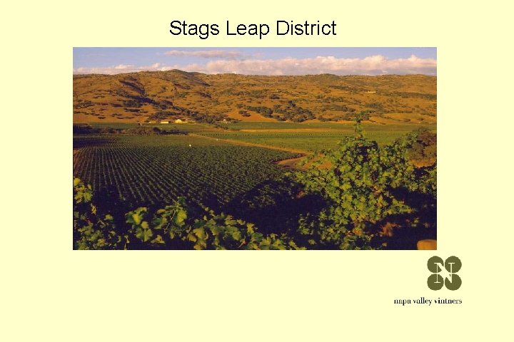 Stags Leap District Stags Leap District