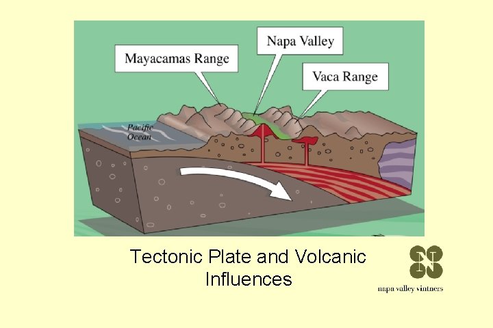 Tectonic Plate and Volcanic Influences Tectonic Plate and Volcanic Influences