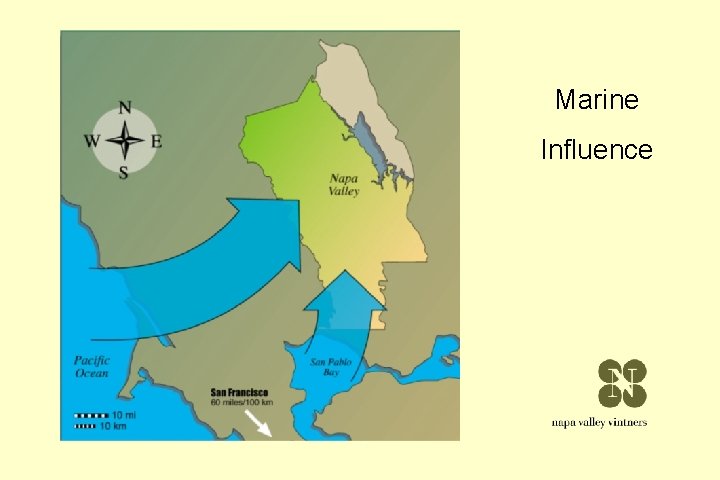 Marine Influence Marine Influence