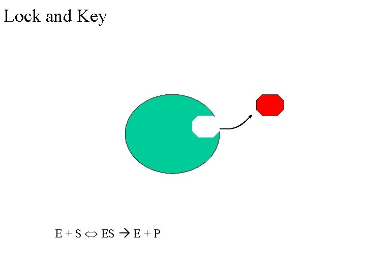 Lock and Key E + S E + P 